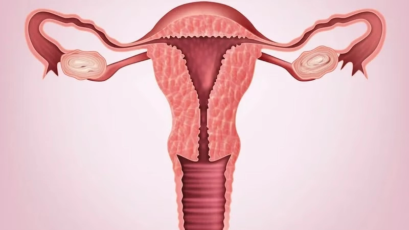 siết cơ âm đạo nâng điểm G