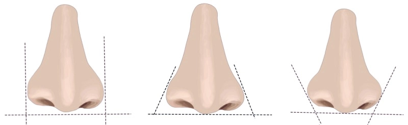 phương pháp cuộn cánh mũi