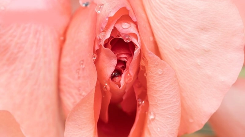 tạo hình môi bé